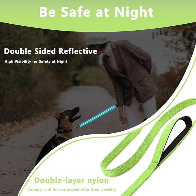 Dog Leash 6ft Long, Double Handle Dog Leash for Safety Control Training, Heavy Duty Dog Leads with Traffic Padded Handles, Reflective Leashes for Small Medium Large Dogs(6ft, Green)
