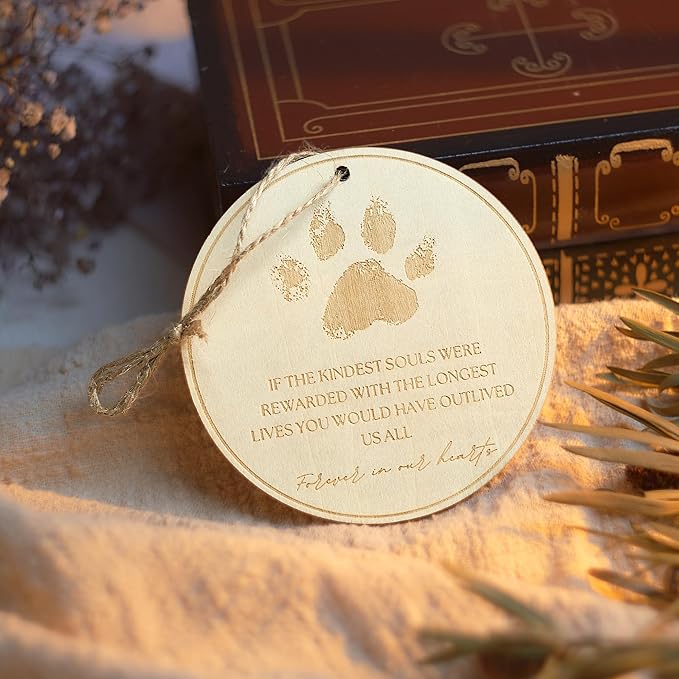 Pet Loss Bereavement Gift Box – Sympathy Gift for Loss of Dog, Pet Memorial Set with Photo Frame, Remembrance Ornament, Memory Candle & Hot Water Bottle, Condolence Comfort Gift for Grieving Pet Owner