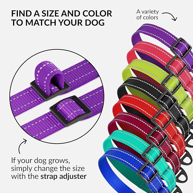Collardirect Reflective Martingale Dog Collar Nylon Training Collars for Small Medium Large Dogs Puppy Pink Orange Green (M, Neck Size 13"-18", Purple)