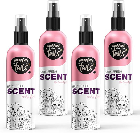 Wagging Tails 5-in-1 Baby Fresh Scent for Dogs & Cats, 6.7 fl oz (Pack of 4) | Alcohol-Free Pet Spray | Sensitive Skin Friendly & Deep Moisture Formula | Long-Lasting Scent, Non-Toxic | For All Breeds
