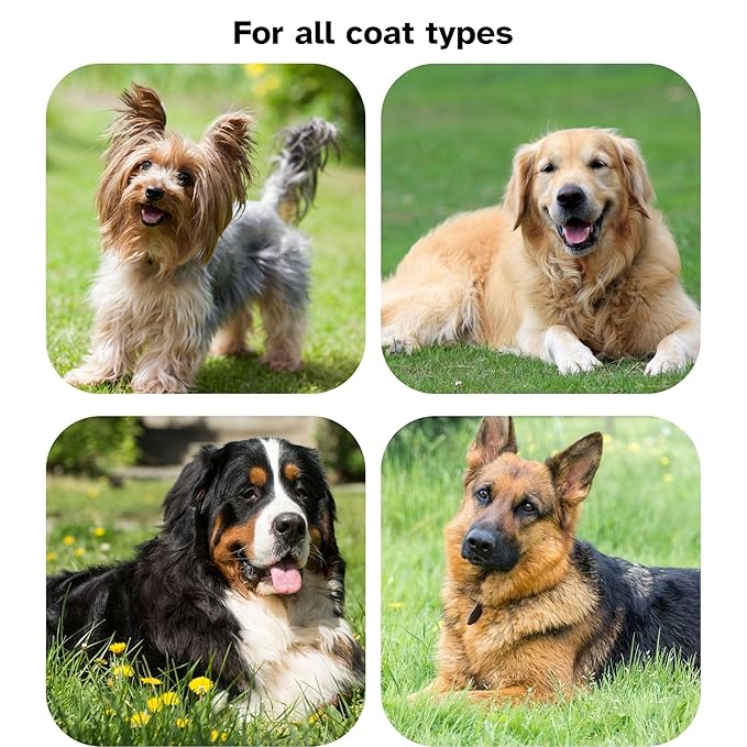 Professional Grooming Large Slicker Brush for Dematting Goldendoodles, Labradoodles, Poodles - Long Stainless Steel Pins for Thick Coats, Red - [TaiQiang]