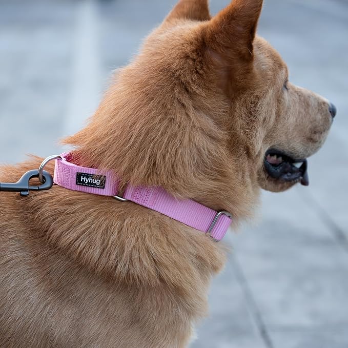 Hyhug Martingale Collar for Dogs Extra Large Pink |Escape - Proof Heavy Duty Nylon Durable No Pull, Ideal for Training & Daily Walks