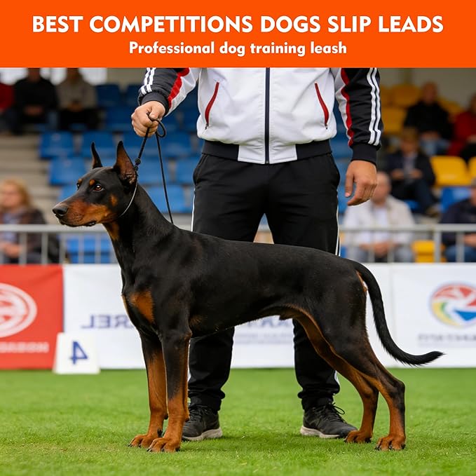 BeauGo|Slip Leads for Dogs|Dog Training Leash|2-In-1Training Lead & Collar,Thin Rope specifically Designed for Dog Training and NGKC Competition,Suitable for All Dogs Training Leash(Green)