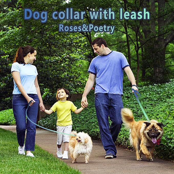 Roses&Poetry Bluegreen Small Dog Collar and Leash Set, Puppy Reflective Leashes with Collars, Adjustable Durable Matching Collar Leash for Small Dogs Girl (Bluegreen-S)