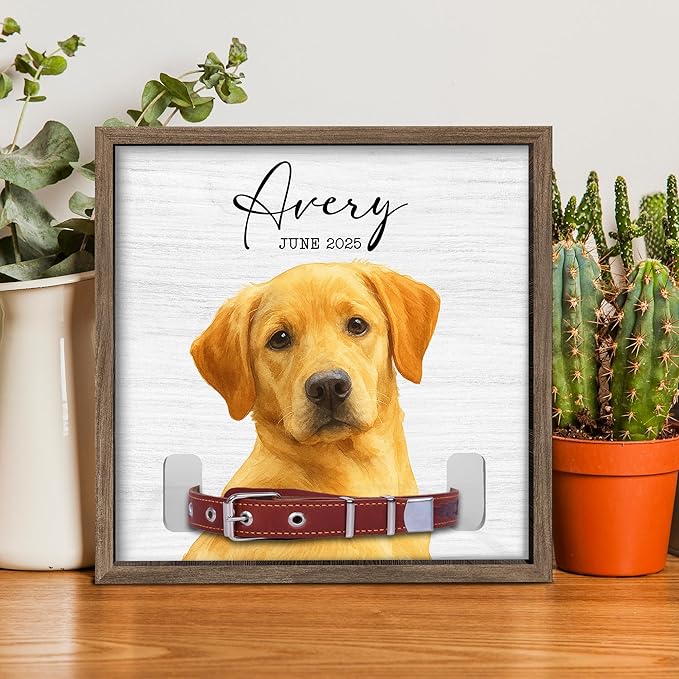 Dog Collar Memorial Frame with Custom Pet Portrait – Minimalist Pet Loss Picture Frame with Name and Date – Personalized Dog Memorial Gift with Collar Holder