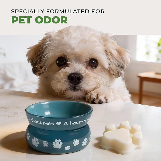 Pet House Wax Melts, Long-Lasting Scented Pet-Friendly Wax Melts, Natural Pet Odor Solution for A Fresh Smelling Home, Fresh Citrus, 3 OZ Each, 2 Pack