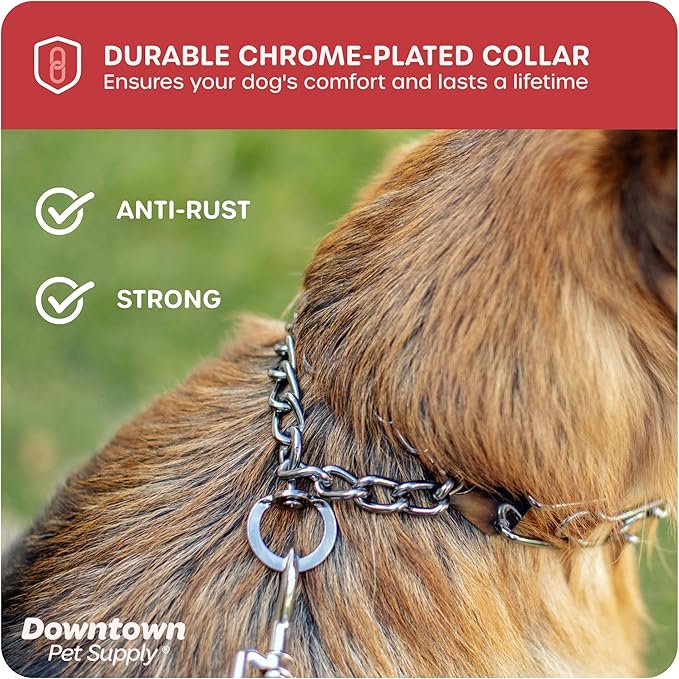 Downtown Pet Supply Chrome Plated Prong Collar for Dogs, Small - Adjustable, No-Choke and No Pull Dog Collar with Removable Links - Pinch Collar for Dogs Under 20 lbs and 14" Neck Width