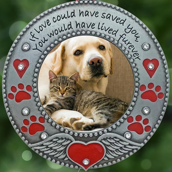 Pet Memorial Photo Ornament - Dog or Cat - Set of 3 - Enameled & Jeweled with Red Hearts, Angel Wings & Paw Prints - Gift/Storage Bag Included - 3" D and Holds a 2" D Photo