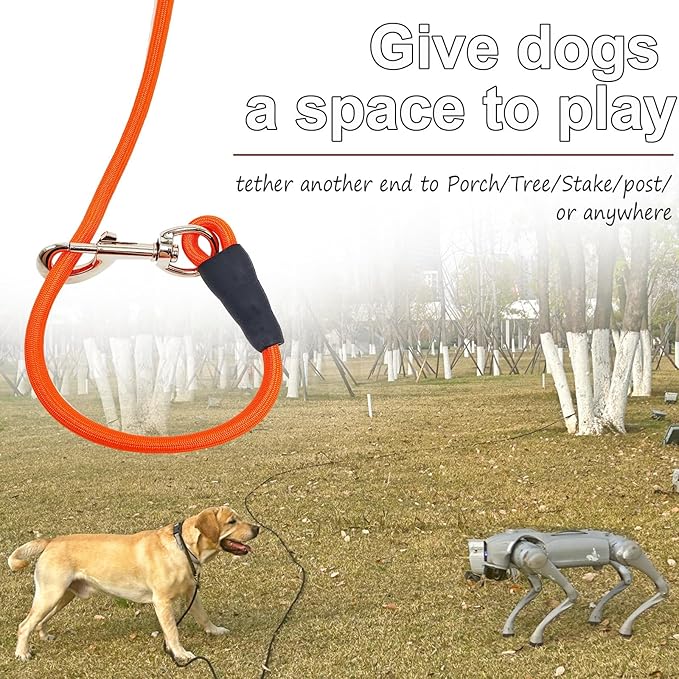 50FT Dog Tie Out Leash, Long Tether 15ft 20ft 30ft 65ft Nylon Rope Check Cord for Medium Large Dogs Outdoor Training Camping Backyard (Orange, 3/8")