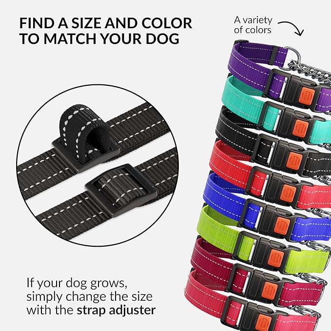 CollarDirect Martingale Dog Collar with Stainless Steel Chain and Quick Release Buckle - Reflective Collar for Large, Medium, Small Dogs - Black, Small (Neck Size 12"-15")