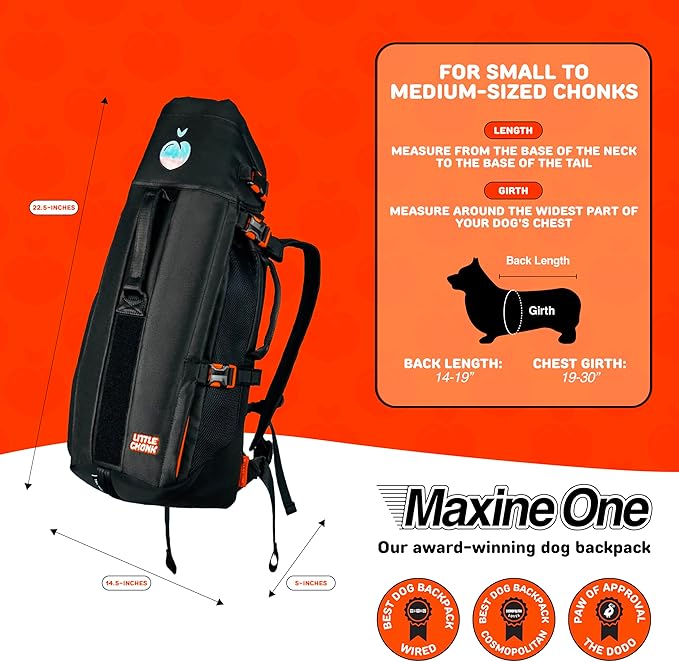 Maxine One Dog Backpack Carrier for Medium Dogs by Little Chonk | Adjustable & Ergonomic Front Facing Dog Carrier Backpack | Built to be Safer | Pet Backpack Carrier Featured in Wired Magazine - Black