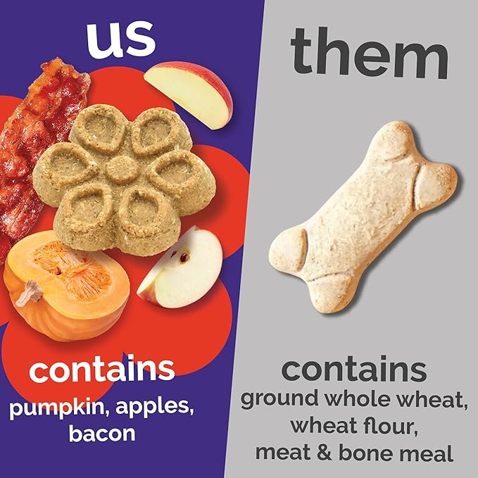 Fruitables Biggies Dog Biscuits, Healthy Treats for Dogs, Pumpkin Doggie Biscuits, Crunchy Treats, Made Without Wheat, Corn and Soy, Made in The USA, Crispy Apple and Bacon Flavor, 16oz