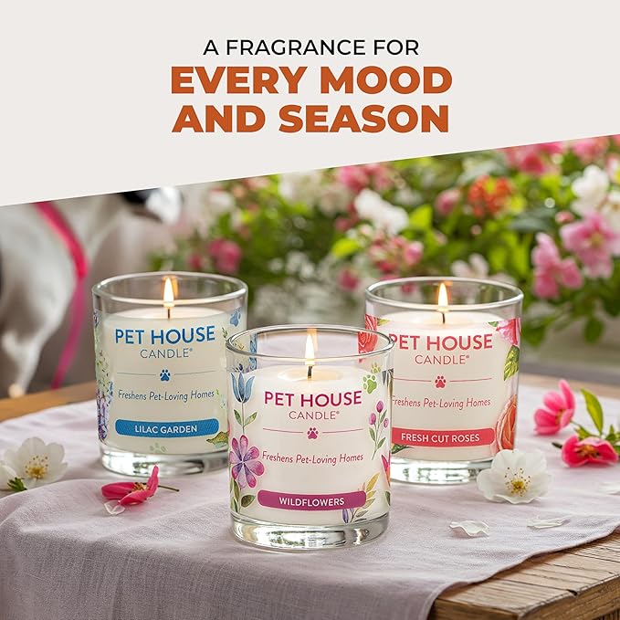 One Fur All Pet House Fall Candles, Long Lasting, Clean Burning, Soy Wax Scented Candles for Pet Odor, Falling Leaves, 2 Pack