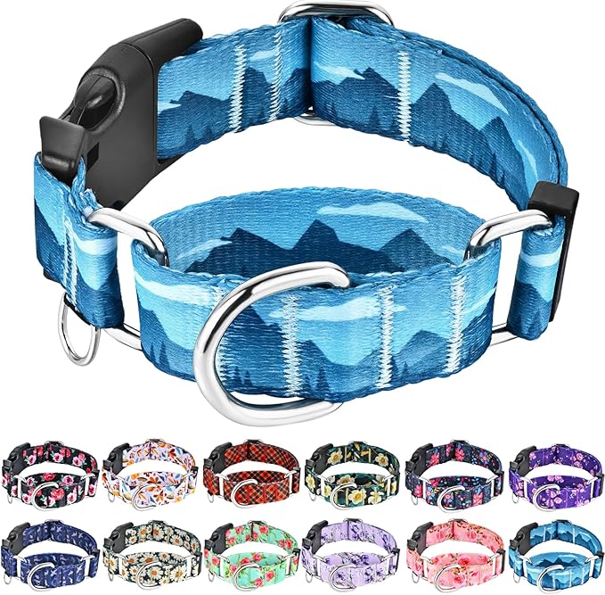 Martingale Collar for Dogs with Buckle Dog Collar Adjustable Soft Nylon Boy Dog Collars for Medium Dogs, Blue Sunset