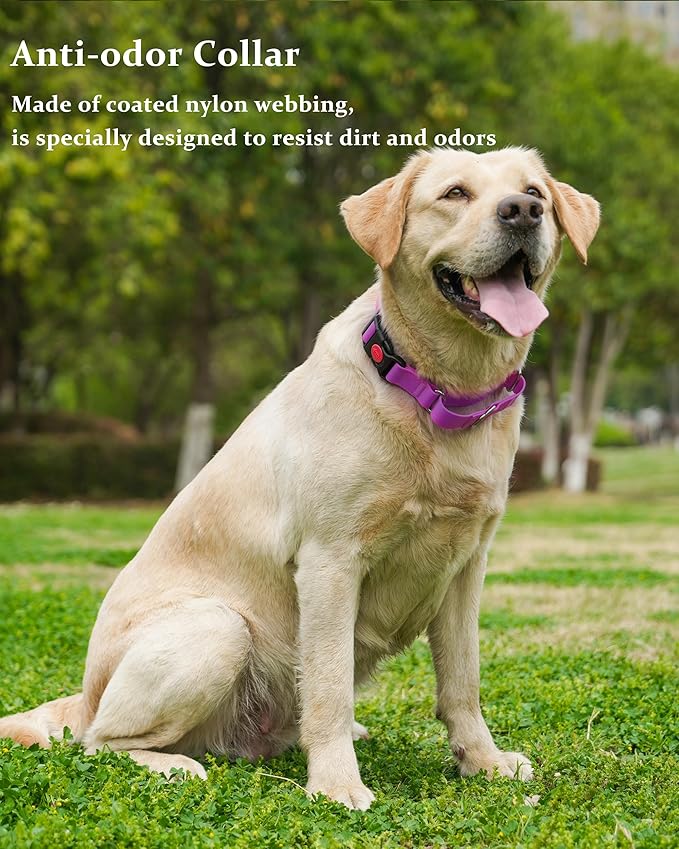 Waterproof Martingale Collar for Dogs,Easy to Clean Dog Collars with Safety Quick Release Buckle,Rubber Collar for Medium Large Dogs Walking Training (Purple, S (13.4-16.5inch))