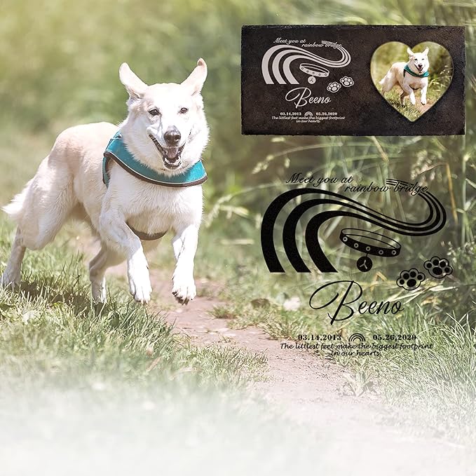 Fanery Sue Custom Cat Memorial Stones with Full Color Image, Dog Memorial Gift Garden Stones, Pet Grave Markers Personalized, All-Natural Memorial Headstone for Pet