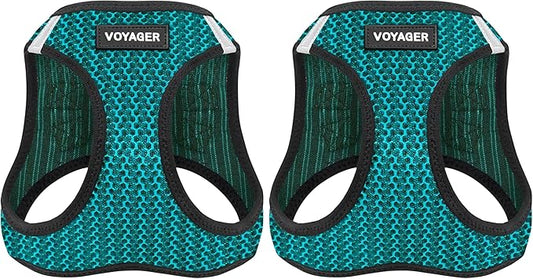 Voyager Step-in Air Dog Harness - All Weather Mesh, Reflective, No Pull Harness for Small, Medium Dogs, Cats - Secure with Hook & Loop Fastener, Buckle, Double D-Rings - Turquoise 2-Tone, XS