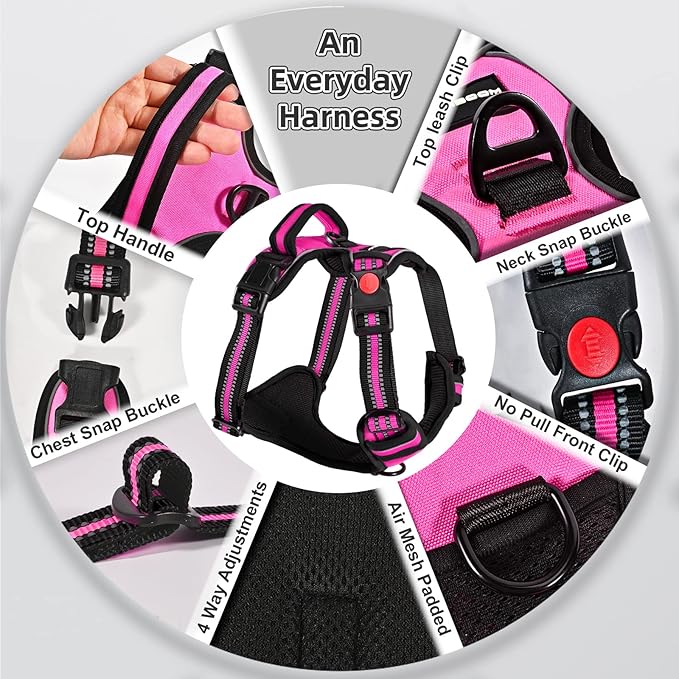 No Pull Dog Harness with A Free Heavy Duty 5ft Dog Leash, Adjustable Soft Padded Dog Vest, Reflective No-Choke Pet Oxford Vest with Easy Control Handle and Dog Leash for Dogs (Pink, Large)
