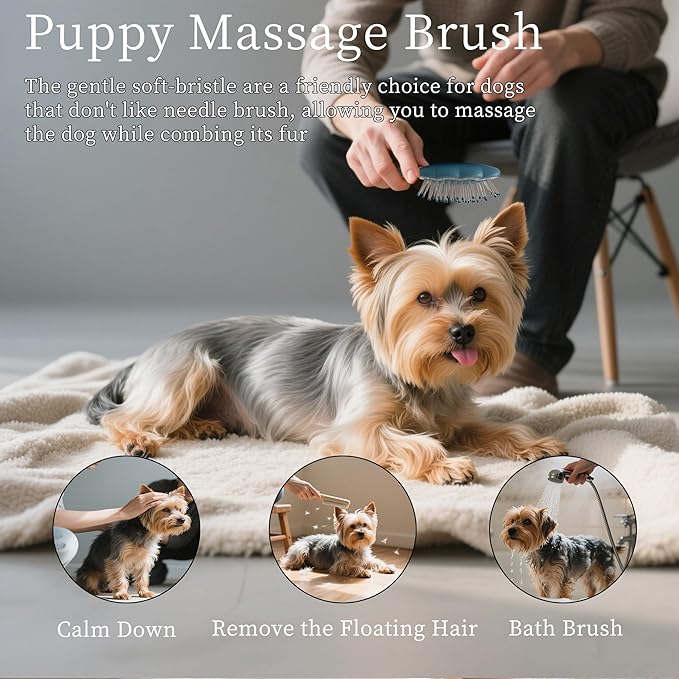 Gentle Cloud Air Cushion Brush Small Dogs Grooming with Gift Box, Fit for Yorkie, Shih Tzu, Pomeranian, Maltipoo, Maltese, Toy poodle, Puppy Essentials (Sky Blue)