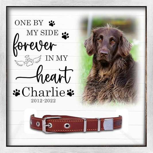 Dog Collar Memorial Frame – Personalized Pet Loss Picture Frame with Collar Holder – Sympathy Gift for Dog Lovers (Nes-collar-13)