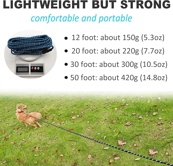 Reflective Long Slip Lead Dog Leash Anti-Choking 12 FT/20 FT/30 FT/50 FT Rope Training Leash for Medium Dogs Small Puppy Pets (20ft, Blue)