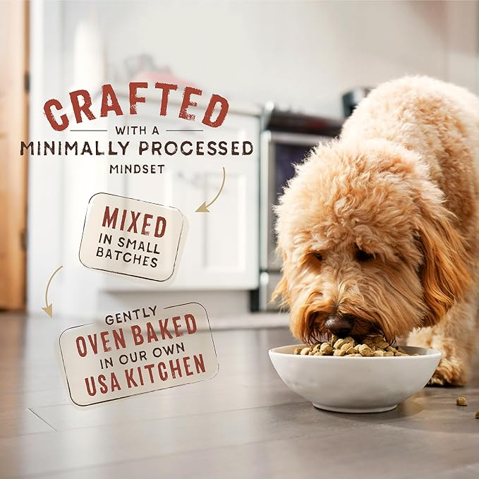 Stella & Chewy's SuperBlends Raw Coated Wholesome Grains Puppy Cage-Free Chicken & Wild-Caught Salmon Recipe with Superfoods, 21 lb. Bag