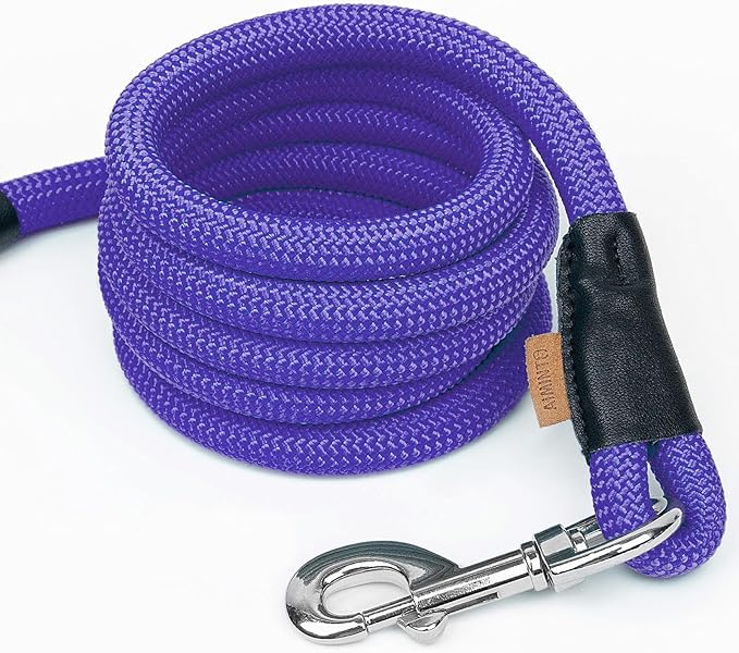Dog Leash, Braided Rope Traction – Walking Training Lead for Small Dogs ((1/3") x 6FT, Purple)
