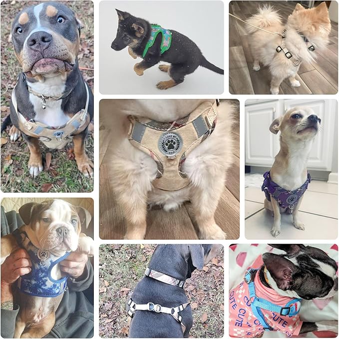 BEAUTYZOO Step in Dog Harness Collar and Leash Set for Small Medium Large Dogs, No Pull No Choke Puppy Harness,Soft Mesh Reflective Pet Padded Vest Adjustable for Doggie Girl or Boy,Chihuahua,Pink XS