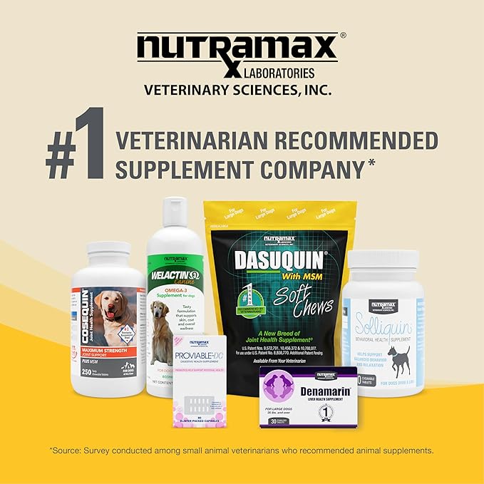 Nutramax Dasuquin for Small to Medium Dogs, Joint Health Supplement, Contains Glucosamine for Dogs, Plus Chondroitin, ASU, MSM and More, Supports Healthy Joints, Chewable Tablets, 84 Count