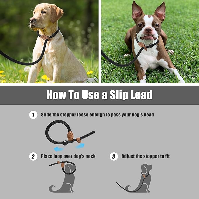 Mile High Life Slip Leads for Dogs | Heavy Duty Dog Training Leash | 4 Feet No Pull Slip Leashes w Leather Tip | Black Rope Lead for Dogs Outside
