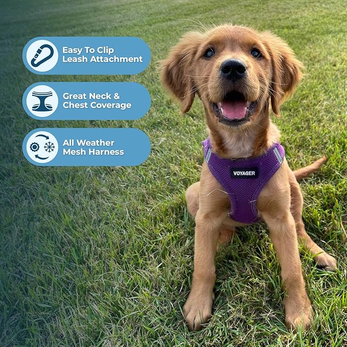 Best Pet Supplies Voyager Step-in Air All Weather Mesh Harness and Reflective Dog 5ft Leash Combo with Neoprene Handle, for Small, Medium and Large Breed Puppies - Set (Purple), Small