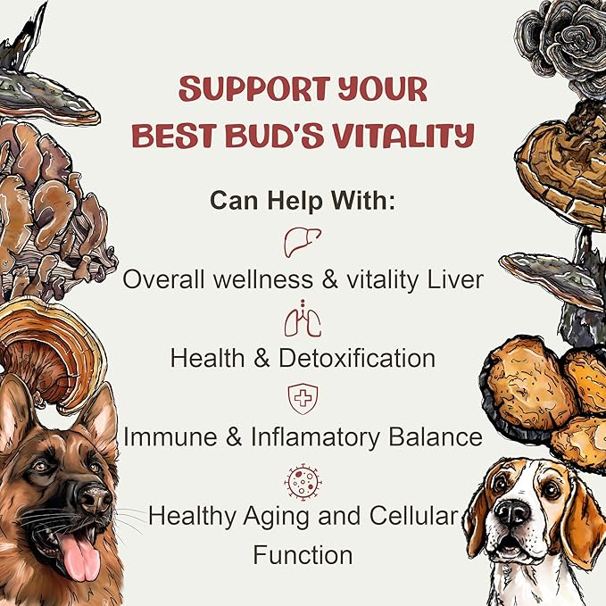 MycoDog Vitality - 20-in-1 Turkey Tail Mushroom for Dogs - Mushroom & Adaptogen Supplement for Senior Dogs - Supporting Immune Health & Daily Wellness - with Reishi, Chaga
