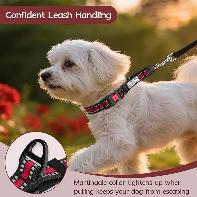 Martingale Collar for Dogs Reflective Collar with Quick Release Buckle, Adjustable Nylon Collars for No Slip Dog Collar, Red, XS