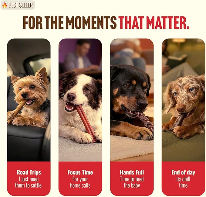 Natural Farm Odor-Free Super Braided Collagen Dog Chews (6-Inch, 5-Pack) First Ever Real Bull Sticks Alternative, 100% Natural Angus Hide Collagen Treats- More Protein More Chew Time for All Dogs
