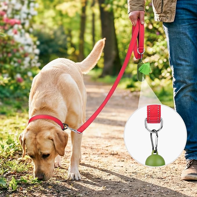 Joytale Dog Leash, 4 FT Double-Sided Reflective, Padded Handle Nylon Heavy Duty Leashes for Medium & Large Dogs Walking, Red