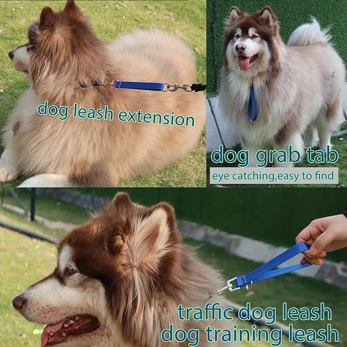 Traffic Dog Leash Dogs Training Leash Pet Traffic Grab Handle Training Tab Pets Leash Short Dog Leashes Dogs Training Lead Leashes (Green & Blue)