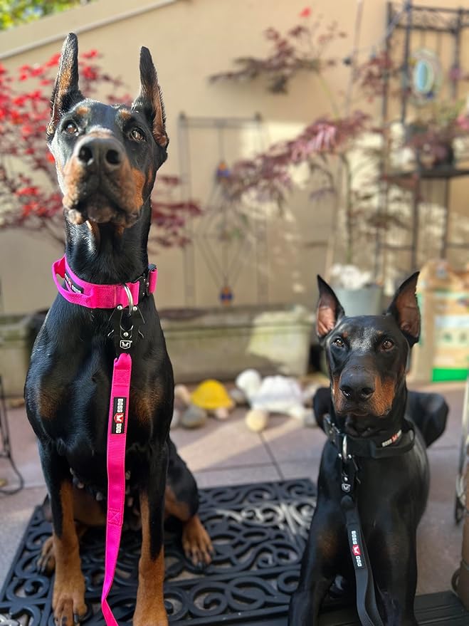 Boss Dog Tactical Collar, Hot Pink, Medium