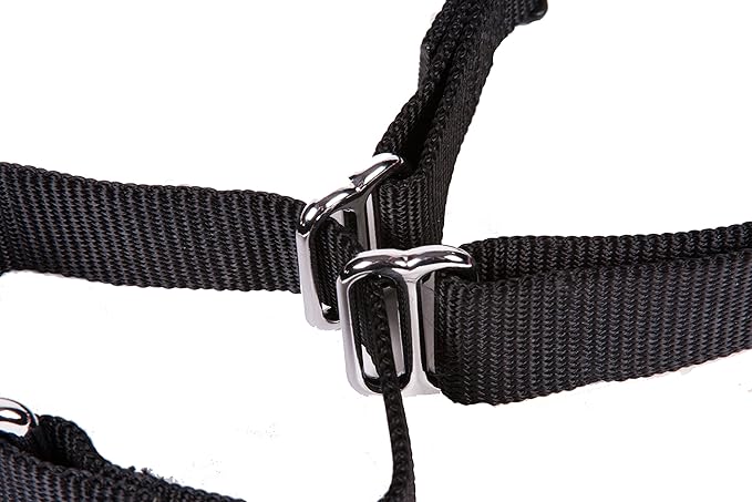 GOGO Pet Products 1-Inch Martingale Dog Collar, Large, Black