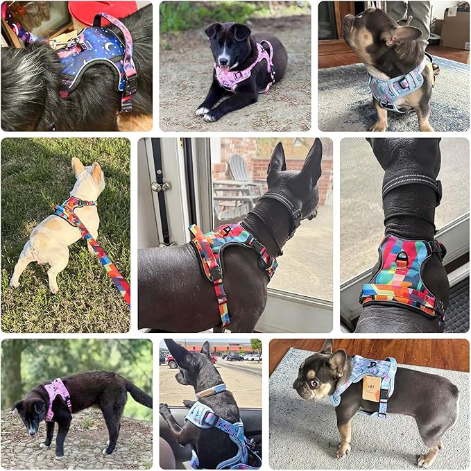 BEAUTYZOO No Pull Dog Harness and Leash Set for Large Dogs, Adjustable Dog Vest Harnesses with 2 Metal Leash Clips, Reflective Oxford No Choke Escape Proof Step in Pet Vest with Handle, Purple L