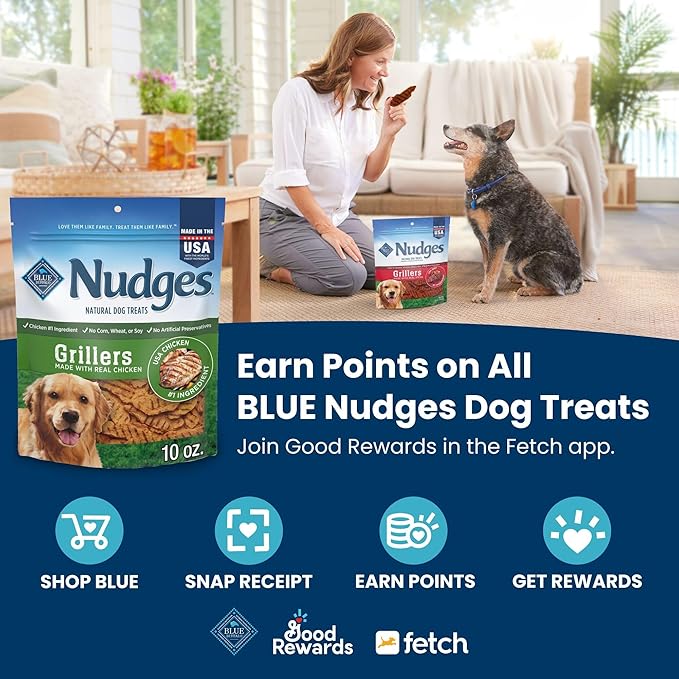 Blue Buffalo Nudges Homestyle Natural Dog Treats, Chicken and Pork, 12-oz Bag