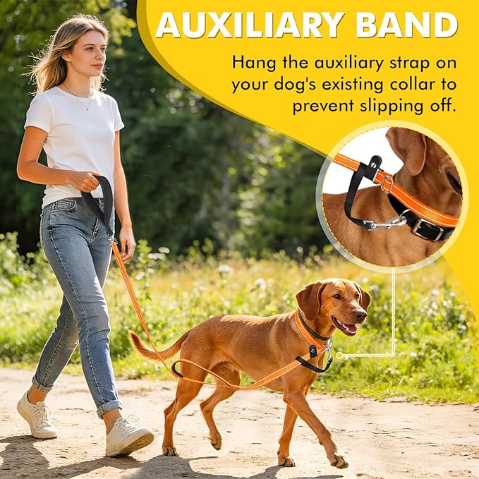 XiaZ 6FT Dog Leash with Comfortable Flat Collar and Soft Padded Handle,Nylon Reflective Double Handle No Pull Leash for Small Medium Large Dogs, Training Walking Running (Orange)