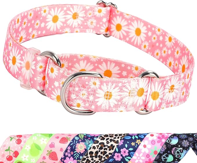 Martingale Collar for Medium Dogs, Pink Daisy Martingale Collar Adjustable, No-Slip, Durable, & Soft Webbing Dog Collar for Male and Female Dogs Ideal for Training & Walking