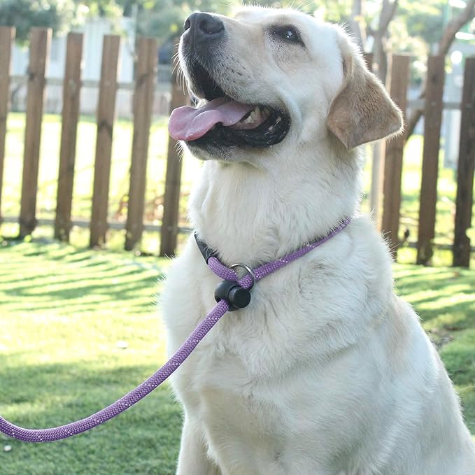 Slip Lead Dog Leash Reflective with Stopper Loop Rope Training No Pull for Medium Large Dogs 7ft Lavender
