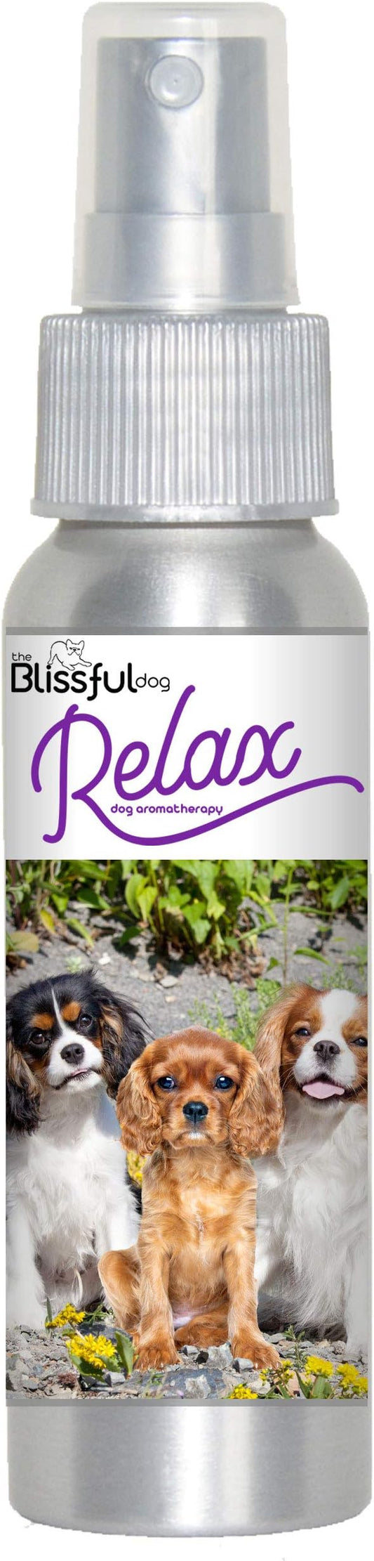 The Blissful Dog Cavalier King Charles Spaniel Relax Dog Aromatherapy Spray for Your Dog's Anxiety