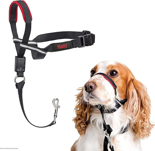 Halti Optifit Headcollar - Stop Your Dog Pulling on the Leash. Adjustable, Reflective and Lightweight, with Padded Nose Band. Dog Training Anti-Pull Collar for Medium Dogs (Size Medium)