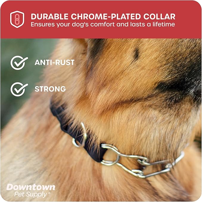 Downtown Pet Supply Chrome Plated/Nylon Prong Collar for Dogs, Medium - Adjustable, No-Choke and No Pull Dog Collar with Removable Links - Pinch Collar for Dogs 20-40 lbs and 20" Neck Width