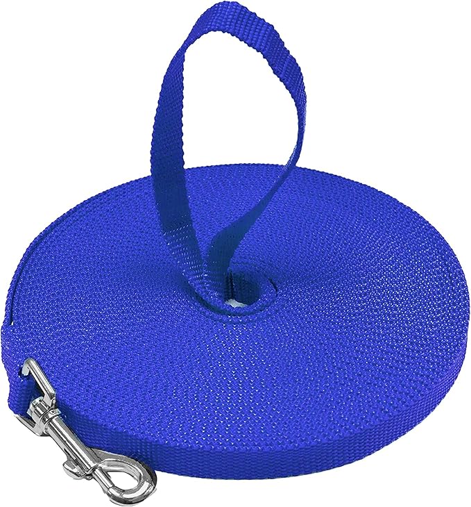 Downtown Pet Supply - Long Dog Leash - 75 ft Blue Nylon Dog Training Leash for Recall & Obedience