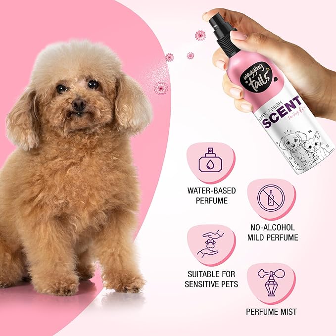 Wagging Tails Baby Fresh Pet Scent | Natural Aloe Vera & Elemi Gum Oil | Long-Lasting Deodorizing Spray for Dogs & Cats | Alcohol-Free Moisturizing Perfume Mist | 200ml (6.76 fl oz)