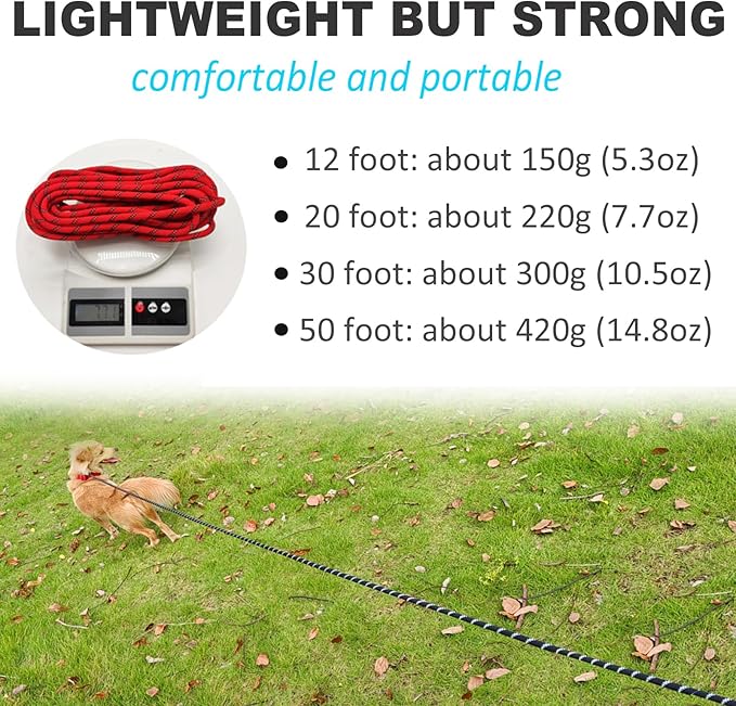 Long Slip Lead Dog Leash, 12/20/ 30/50 FT Reflective 1/3” Rope Training Leash Anti-Choking for Medium Dogs Small Puppy Pets (20ft, red)