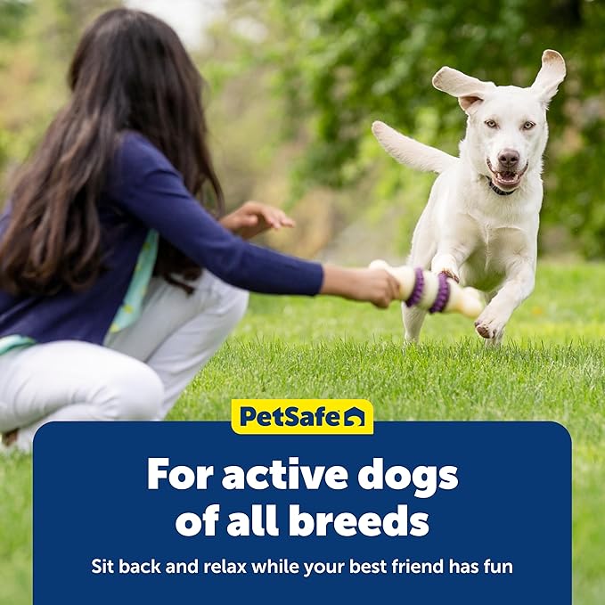 PetSafe Busy Buddy Natural Rawhide Rings - Long-Lasting Dog Chew Refills - Engaging Dog Treat for Training & Playtime - Fresh Rawhide Chew Rings for Interactive Toys - Peanut Butter Flavor - Size B